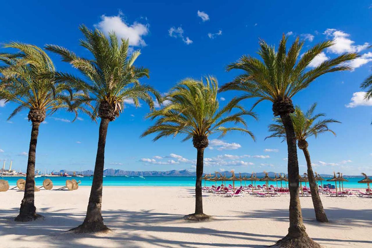 Apartment Corales De Mar, At Alcudia Beach Eksteriør billede